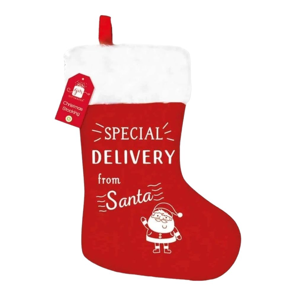 Special Delivery Santa Stocking