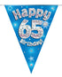 65th Birthday Bunting Blue - 11 Flags 3.9M