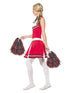 Cheerleader Costume