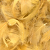 GOLD ELEGANZA FEATHERS MIXED SIZES 3'' - 5'' (50G BAG)