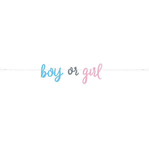 Gender Reveal Boy or Girl Letter Banner