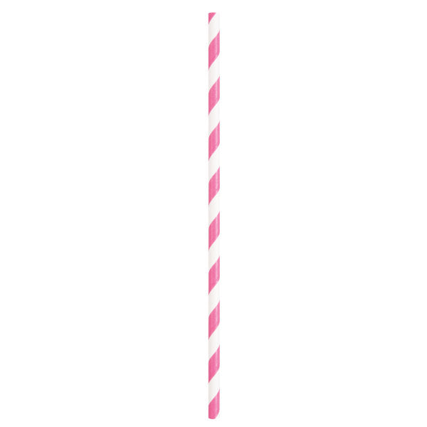 Hot Pink Paper Straws 10pk