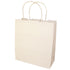 White Kraft Paper Bag with Twist Handles